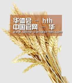 华体会 - hth中国官网 - 华体会首页