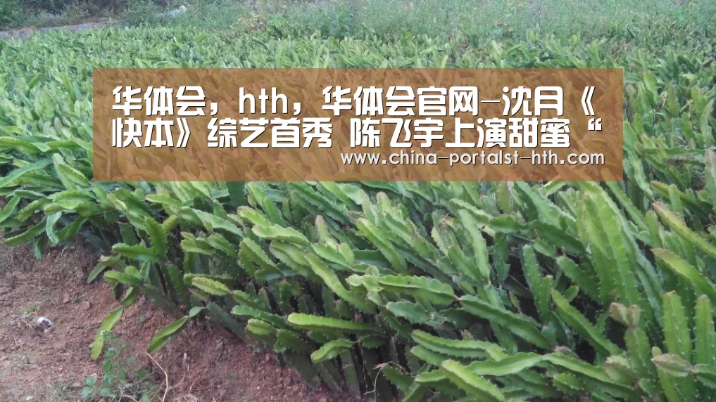 华体会，hth，华体会官网-沈月《快本》综艺首秀 陈飞宇上演甜蜜“摸头杀”