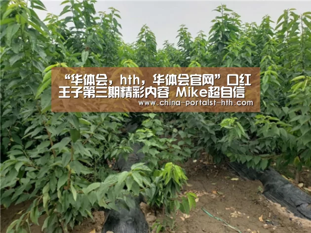 “华体会,hth,华体会官网”口红王子第三期精彩内容 Mike超自信让鬼鬼摸腹肌却主动拒绝(图1) 华体会,hth,华体会官网