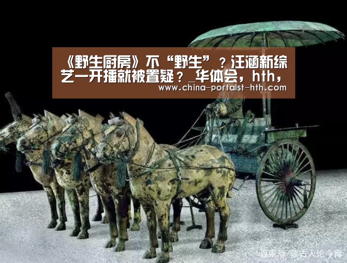 《野生厨房》不“野生”?汪涵新综艺一开播就被置疑?_华体会,hth,华体会官网(图4) 华体会,hth,华体会官网