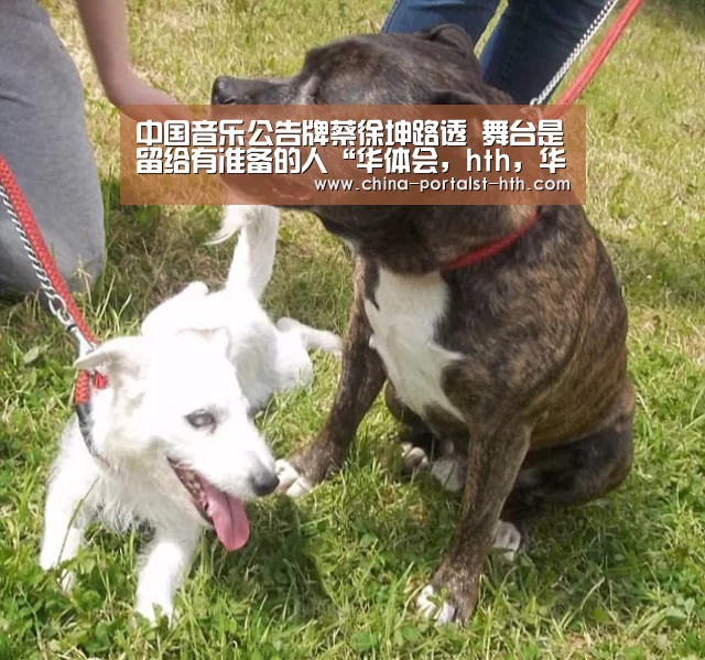 华体会，hth，华体会官网