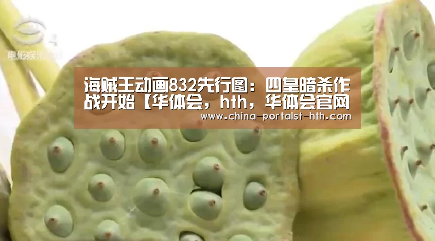 海贼王动画832先行图:四皇暗杀作战开始【华体会,hth,华体会官网】(图1) 华体会,hth,华体会官网
