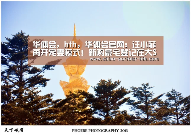 华体会,hth,华体会官网:汪小菲再开宠妻模式!新购豪宅登记在大S名下(图2) 华体会,hth,华体会官网